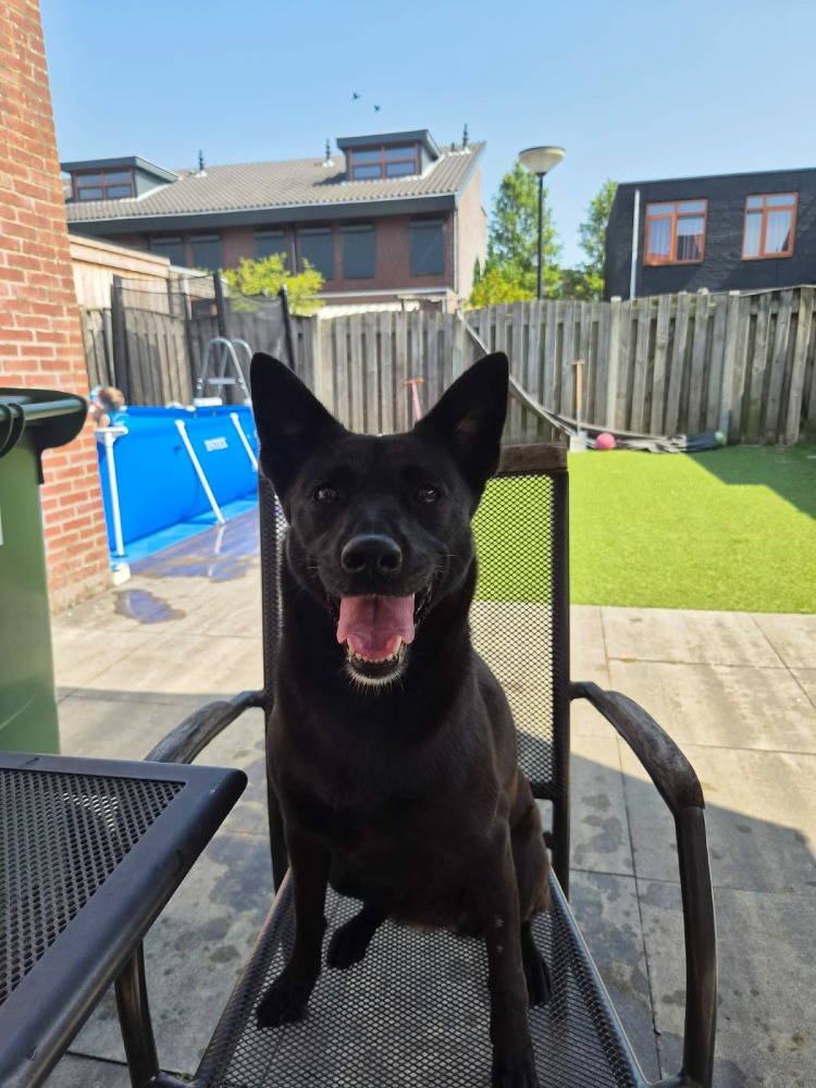 Perla Nera een pareltje