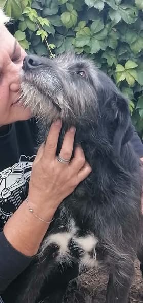 Xena