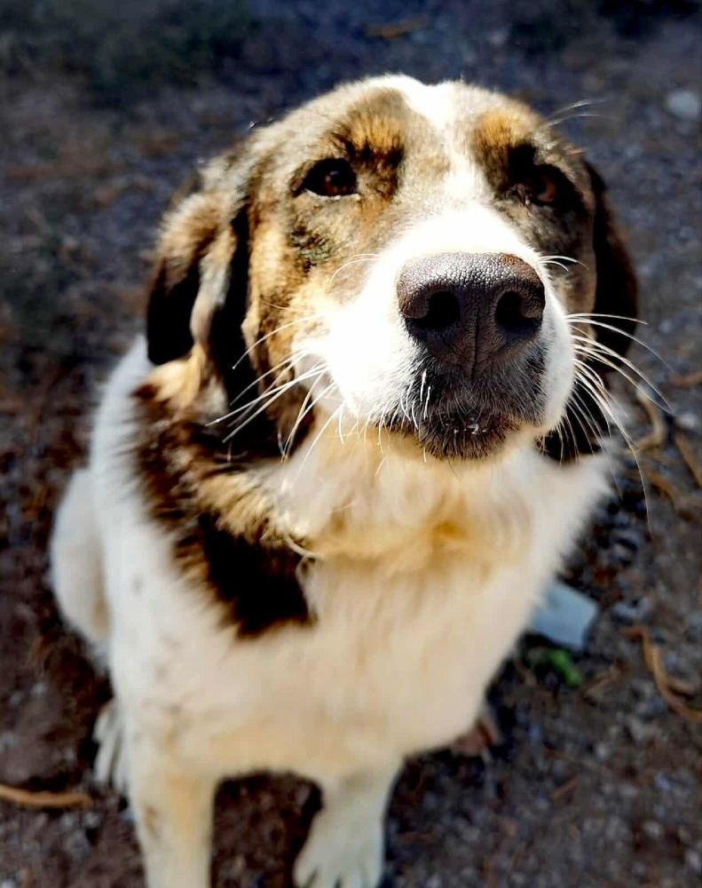 Rita