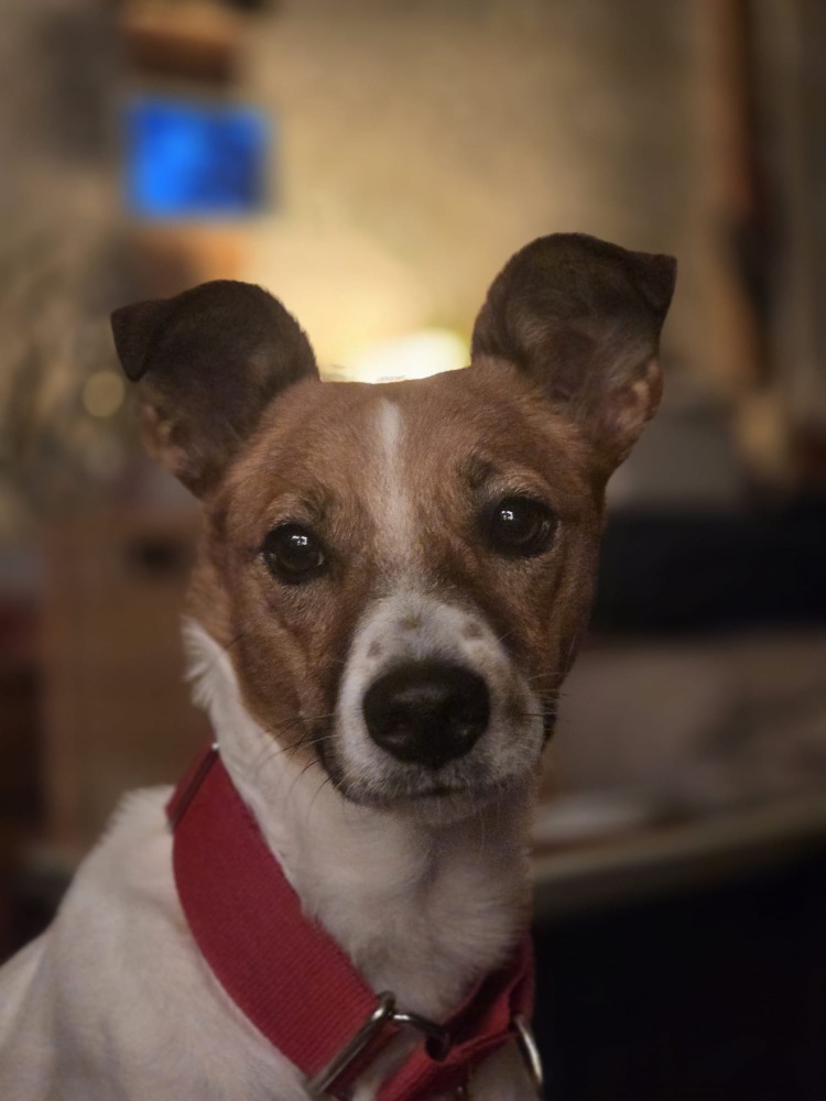 Pepa
