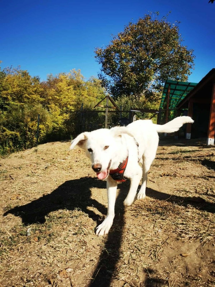 Lumi