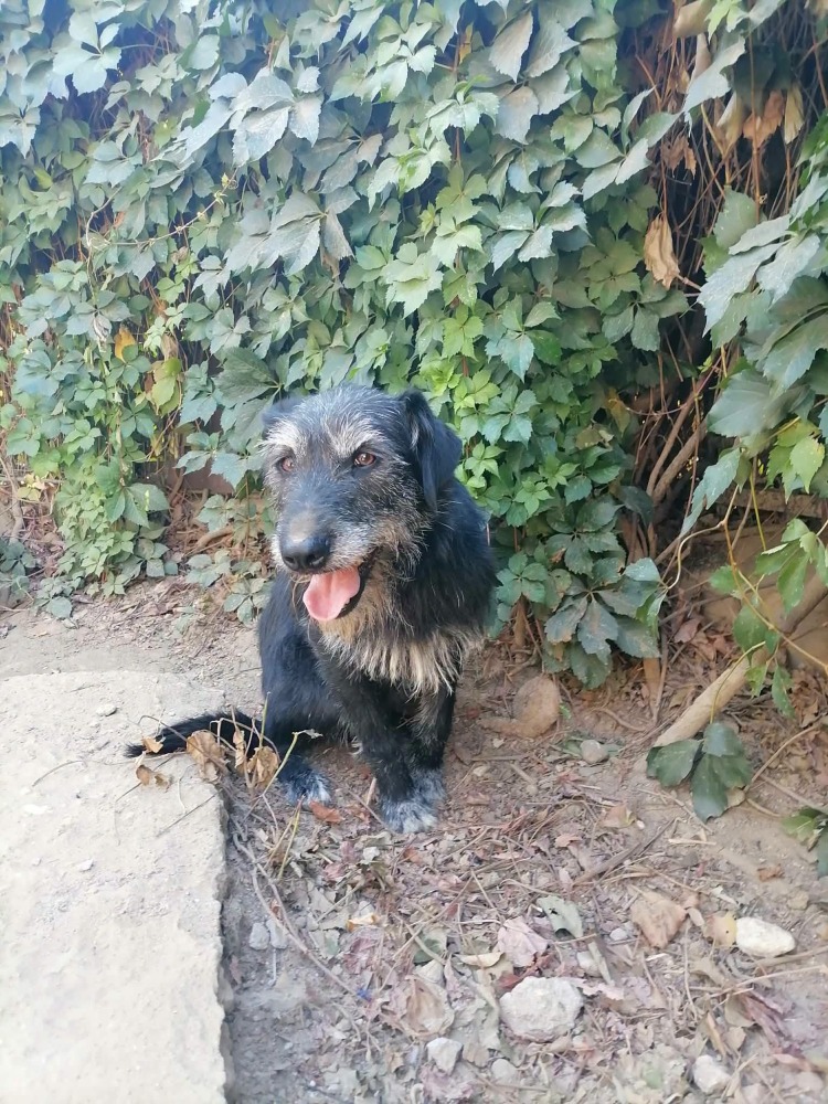 Jax