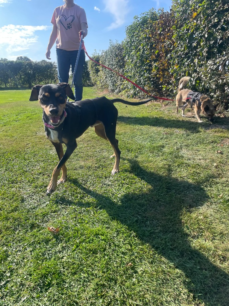 Max