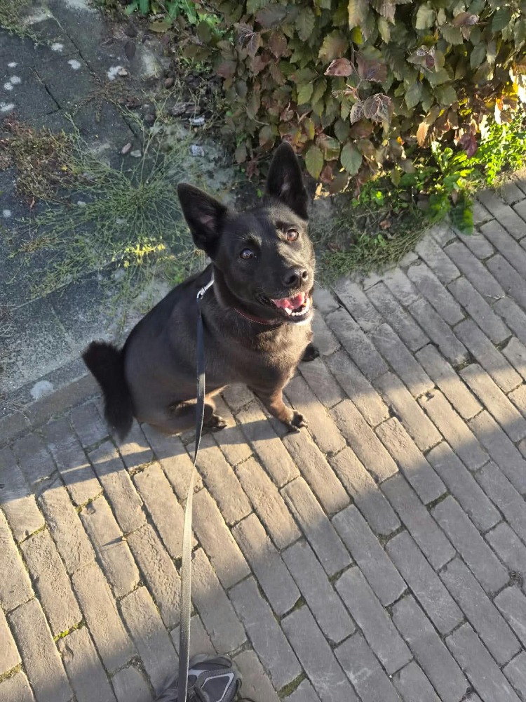 Perla Nera een pareltje