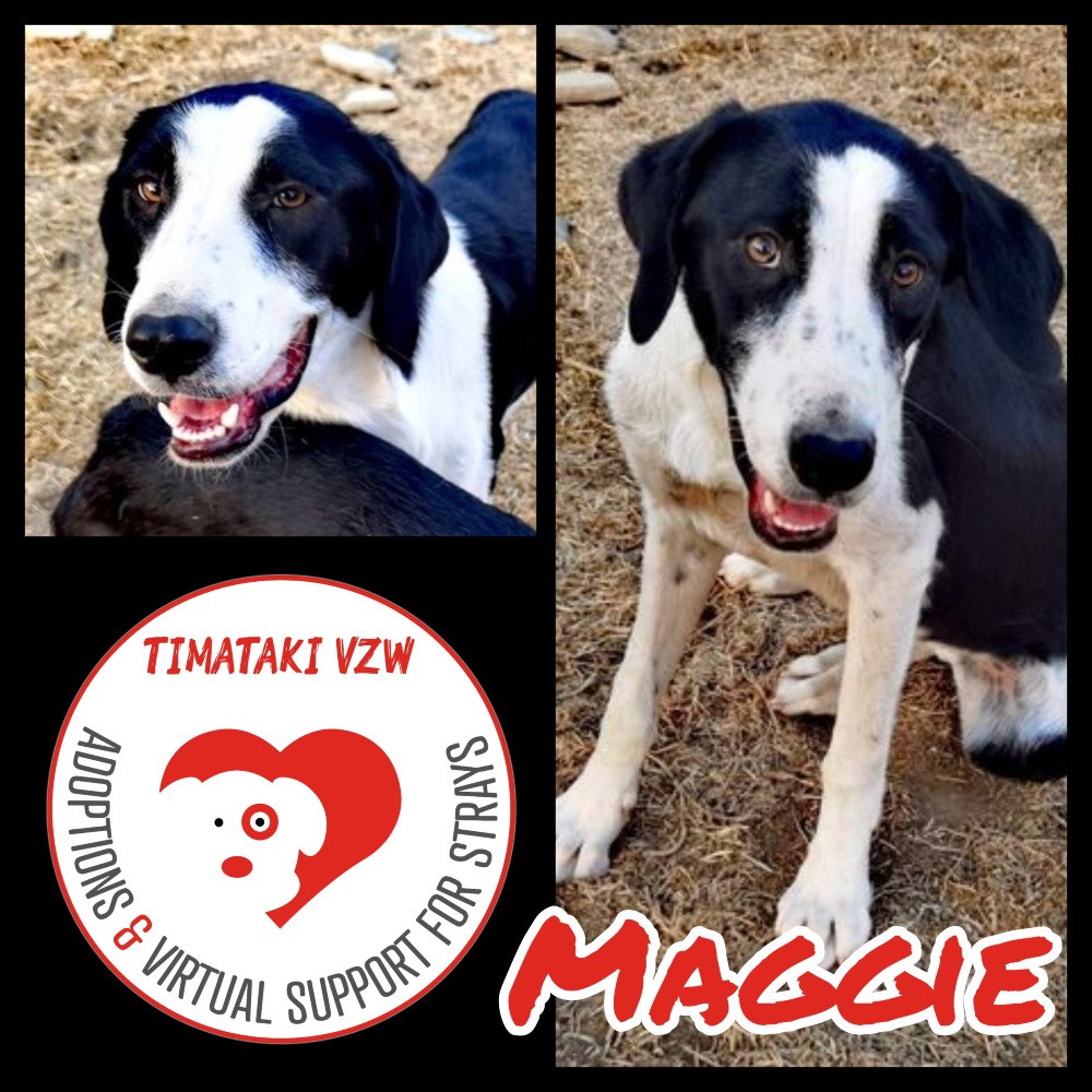 Maggie